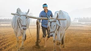 మహర్షి — foto 11