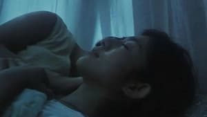 自梳 — foto 1