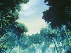 Episodio 13