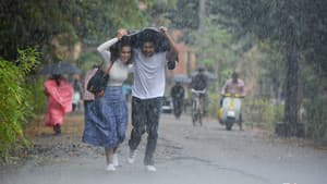జెర్సీ — foto 6