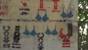 In Bed with the Arab Spring — foto 1