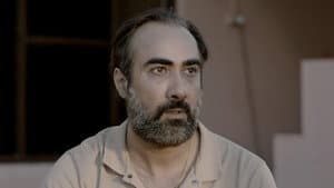Episodio 8