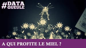 Episodio 10