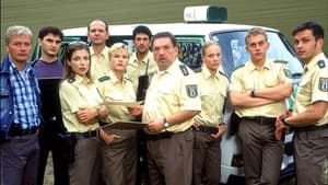 Abschnitt 40 — foto 1