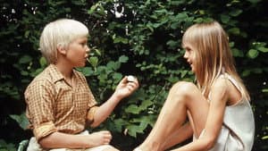 Den vita stenen — foto 2