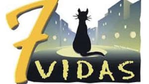 7 vidas — foto 2