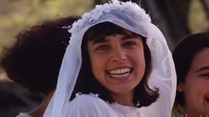 Festa de Casamento — foto 1