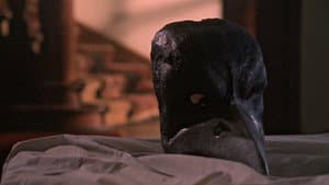 The Raven — foto 3