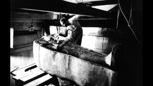 The Man Who Shot Tutankhamun — foto 5