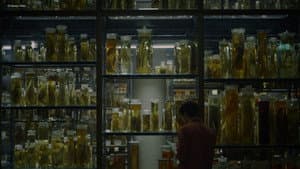 Afterwater — foto 3