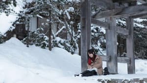 冬天，最后的碎片 — foto 3