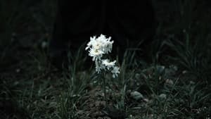 ٢٠٧٦: ئەو پێنووسەی مێژووی گۆڕی — foto 4