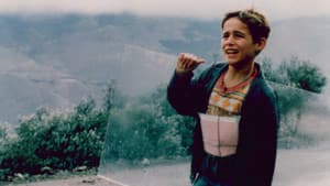 بید و باد — foto 2