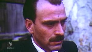 Militanti — foto 1