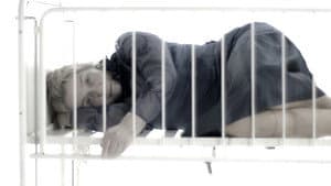 Hebe — foto 4