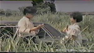 幼齿花招 — foto 2