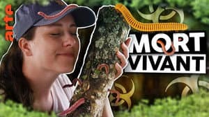 Episodio 12
