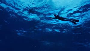 The Swim — foto 1