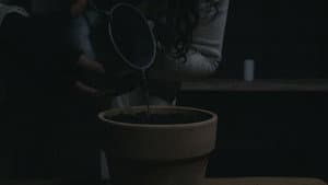 BLOOM - A Dystopian Short Film — foto 4