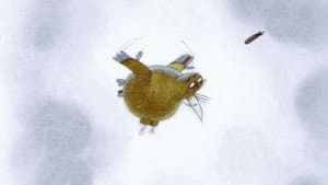 La grande migration — foto 1