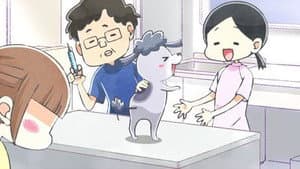 Episodio 6