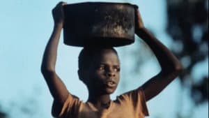 A Few Notes on Our Food Problem — foto 2