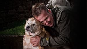 Animal Airlift: Escaping the Taliban — foto 1