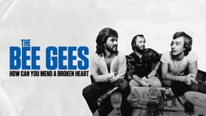 The Bee Gees: How Can You Mend a Broken Heart — foto 11