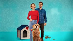 Love Is a Dog's Best Friend — foto 1