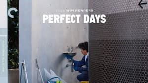 Días Perfectos — foto 11