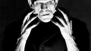 Le Funeste Destin du docteur Frankenstein — foto 1