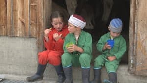 Kühe, Käse und 3 Kinder — foto 1