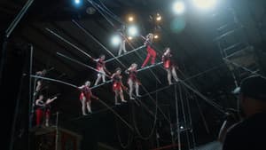 The Amateur Circus — foto 1