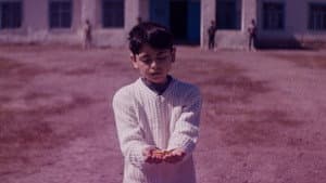 Mənim sehrli dünyam — foto 2
