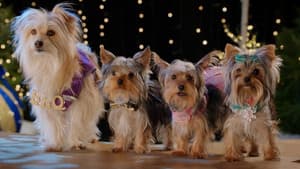 Pup Star: Navidad — foto 4