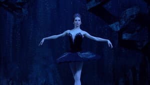 Tchaikovsky - Swan Lake (The Bolshoi Ballet Collection) — foto 11