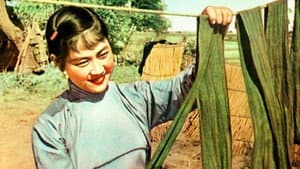 柳堡的故事 — foto 1