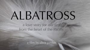 Albatross — foto 2
