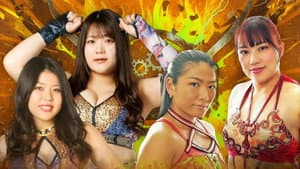 センダイガールズプロレスリング in 後楽園ホール — foto 6