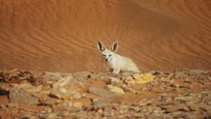 هورايزن — foto 11