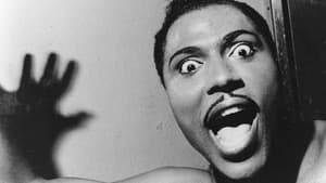 Little Richard: I Am Everything — foto 3