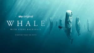 Whale with Steve Backshall — foto 3