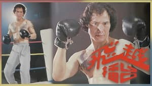 飛越擂台 — foto 1