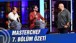 Episodio 7
