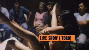 Toro — foto 1
