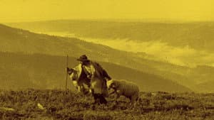Os Lobos — foto 4