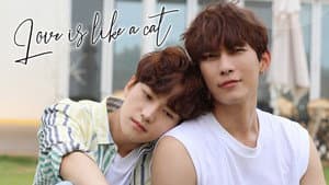사랑은 고양이처럼 — foto 3