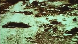 Довженко. Щоденник. 1941-1945 роки — foto 7
