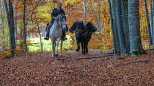 La vallée des loups — foto 3