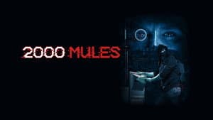 2000 Mules — foto 3